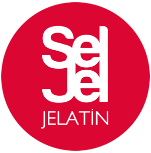 Seljel Logo